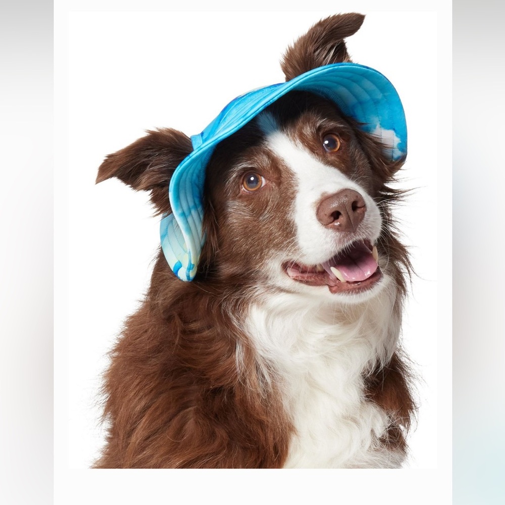 Frisco Summer UPF 45 Cooling Dog & Cat Bucket Hat
